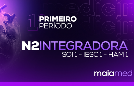 Integradora - Primeiro Período