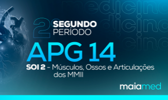 SOI ll - APG 14 (Músculos, Ossos e Articulações dos MMII)