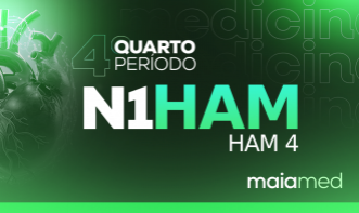 HAM IV - Revisão N1