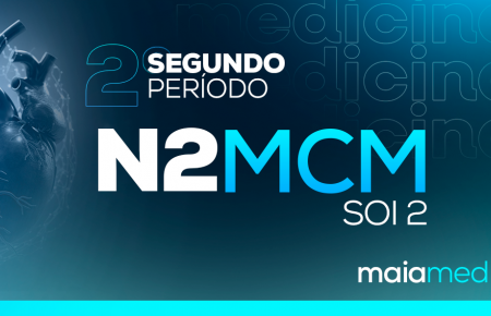 Integradora - MCM 2