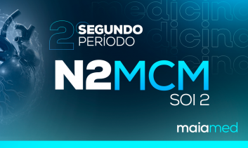 Integradora - MCM 2