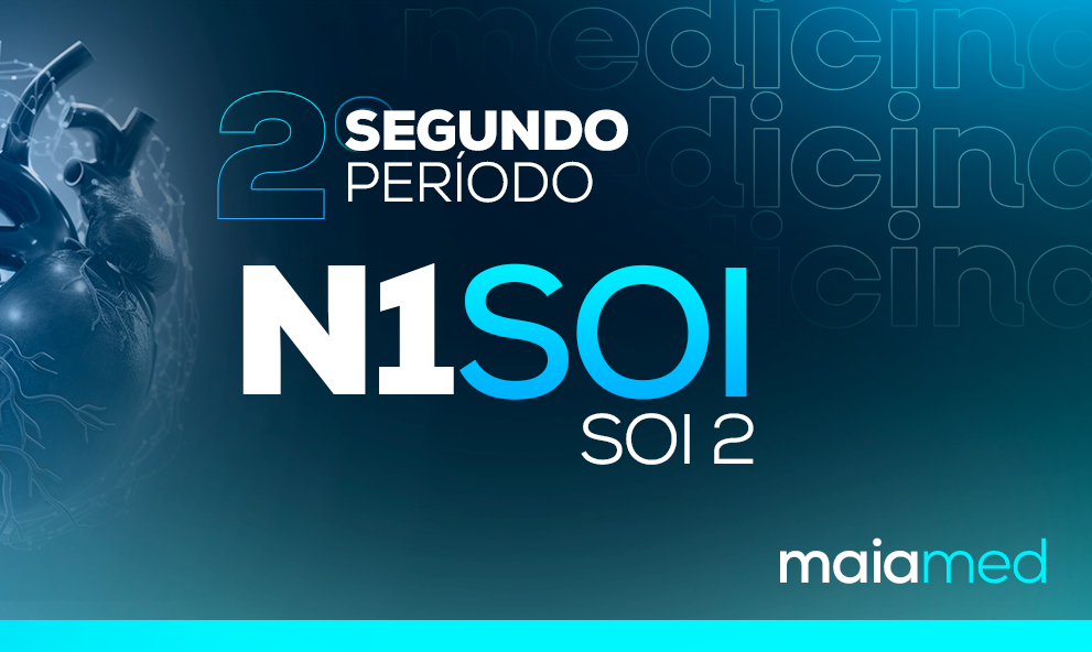 SOI II - Revisão N1