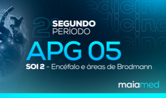 SOI II - APG 05 (Encéfalo)