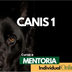 Educação Canina