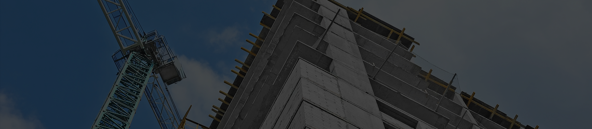 DiRootsOne e ProSheets para Revit