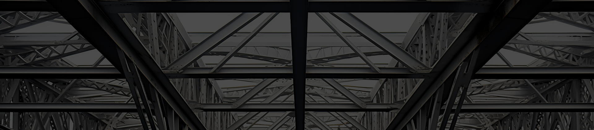 Autodesk Robot Structural Analysis: Básico para Estruturas Metálicas