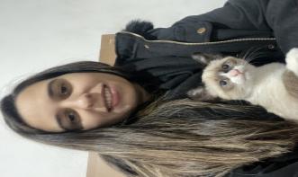 Livia