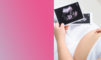 Fetus  2018