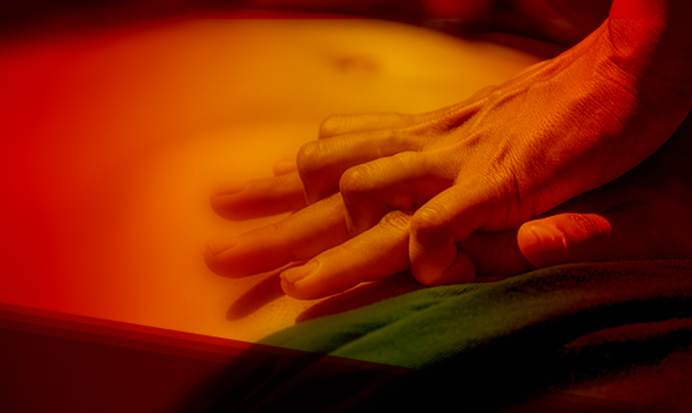CURSO EM EMERGÊNCIAS CARDIOLÓGICAS BLS e ACLS - SÉRGIO TIMERMAN