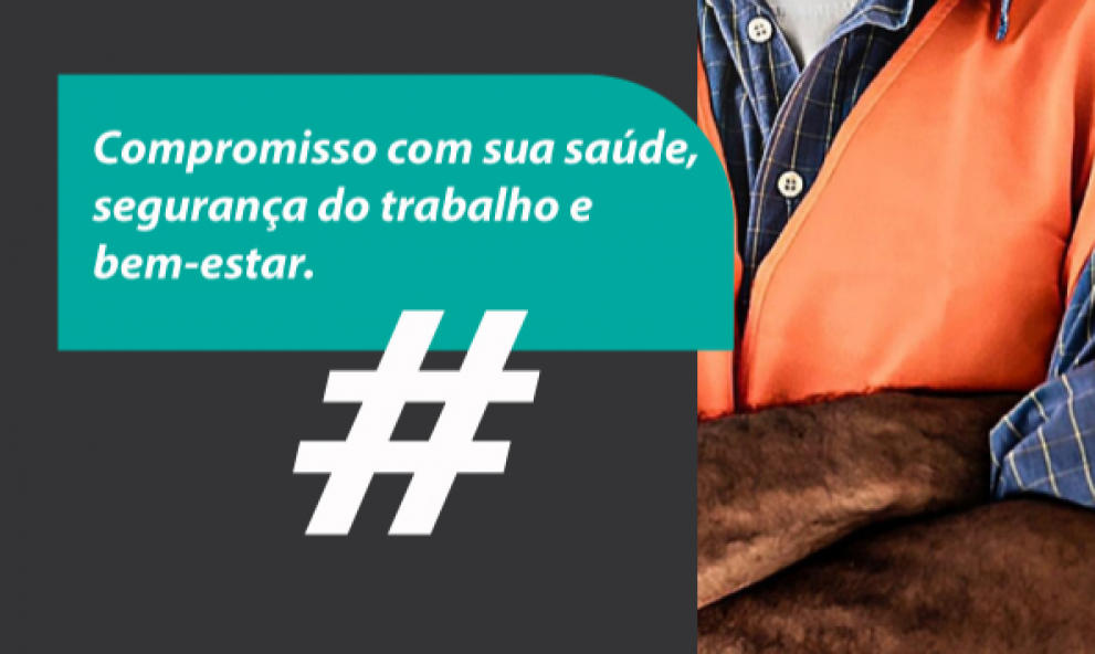 Curso EPIS NR6 ( assinatura )