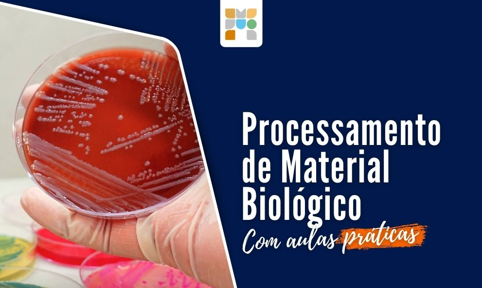 Combo Mestre em Microbiologia - 40% off.