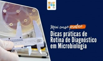 Mini-curso em Microbiologia: práticas de processamento, identificação e antibiograma.