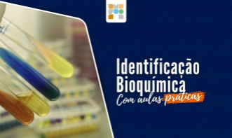 Práticas na identificação de bactérias de interesse médico.