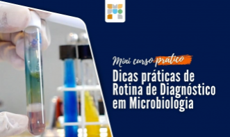 Mini-curso em Microbiologia: práticas de processamento, identificação e antibiograma.