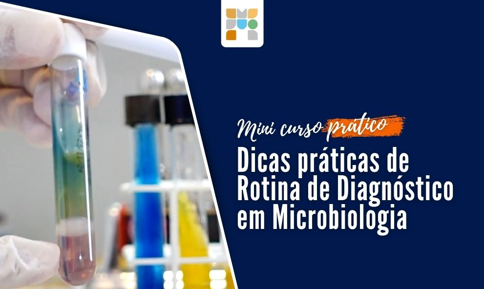 Mini-curso em Microbiologia: práticas de processamento, identificação e antibiograma.