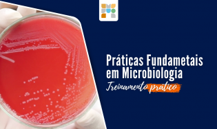 Combo Mestre em Microbiologia - 40% off.