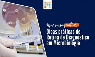 Mini-curso em Microbiologia: práticas de processamento, identificação e antibiograma.