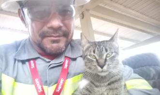 alexandre2017pvh@outlook.com