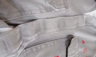 WALMIR DE SOUSA TRINDADE