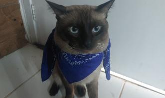 Yasmim Miriam dos Santos Ferreira