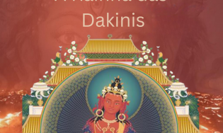 Vajra Yoguini - A Rainha das Dakinis