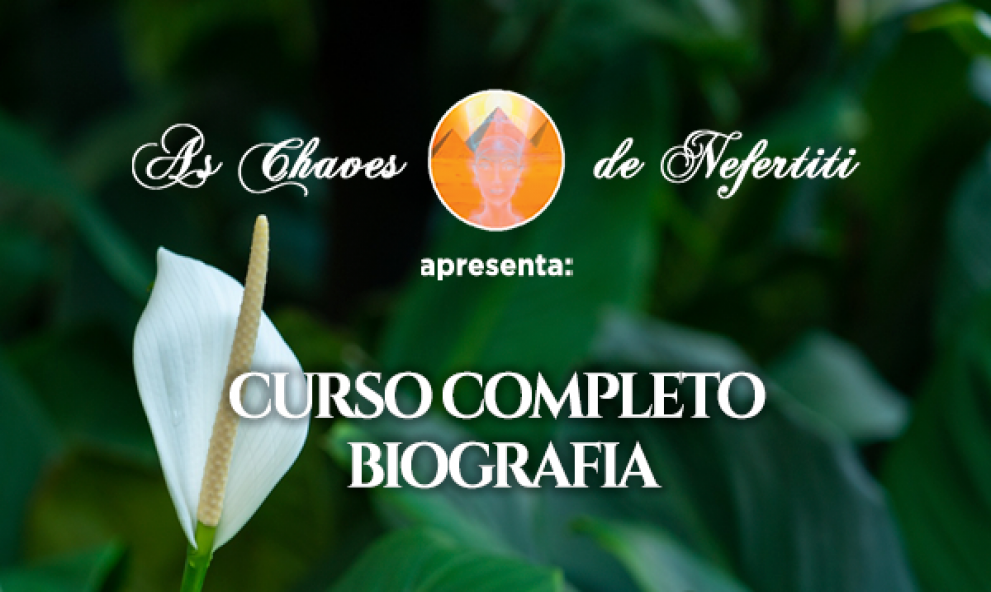 Biografia - Curso Completo