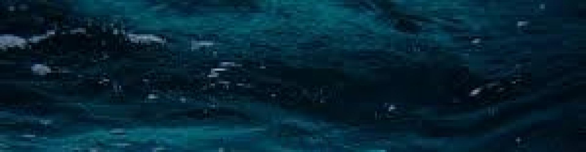 NOVO CURSO À VENDA !!