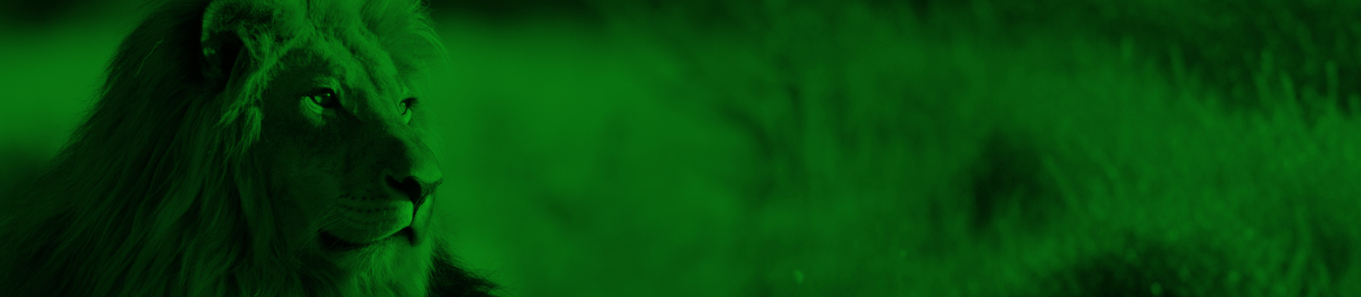 Imposto de Renda da Pessoa Física 2026