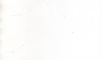 ROBERTO PEREIRA DE MOURA