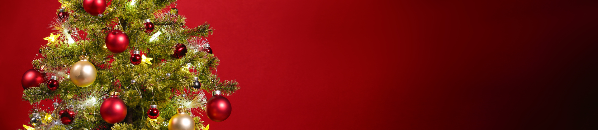 Chocotone Gourmet  - Edição Natal