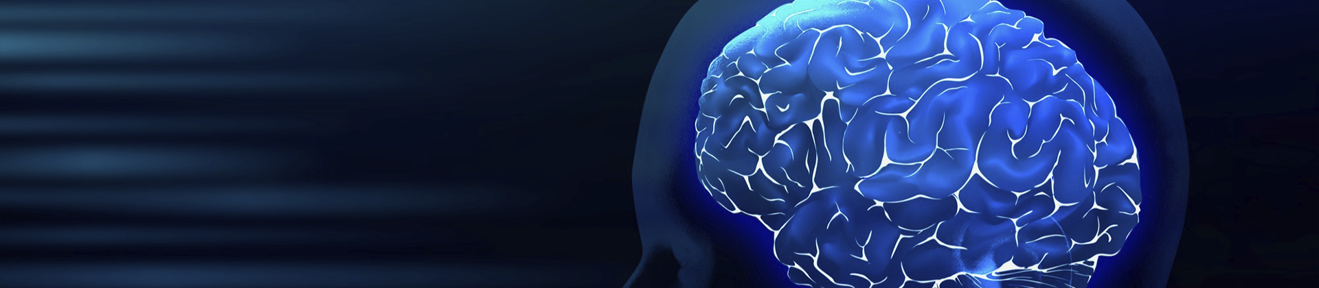 Neuroanatomia 3D