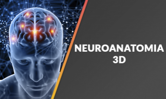 Neuroanatomia 3D