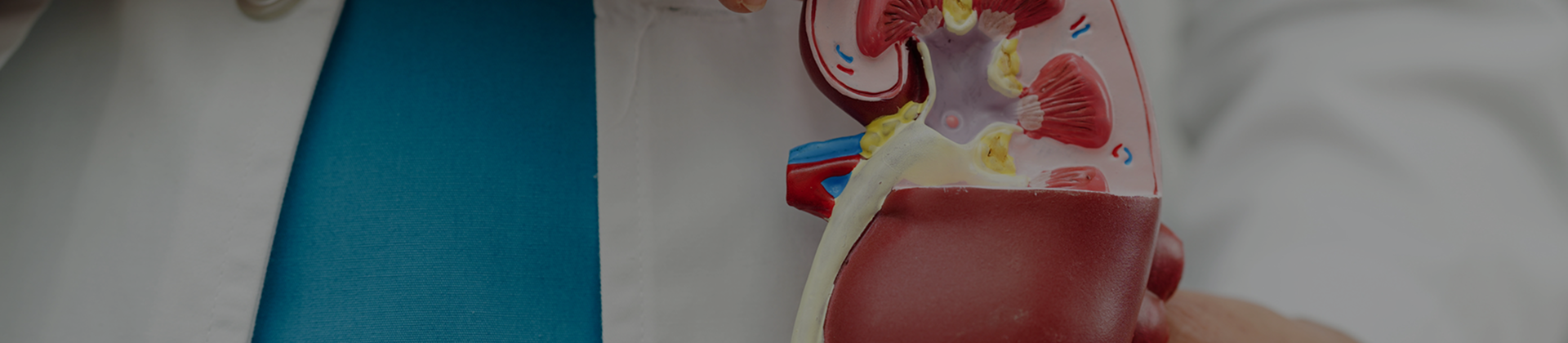 Sistema Renal e Métodos Dialíticos em Neonatologia e Pediatria