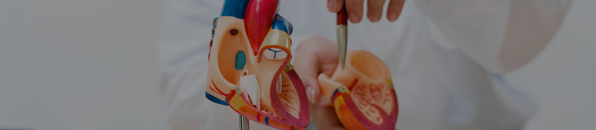 Sistema Cardiovascular em Neonatologia e Pediatria