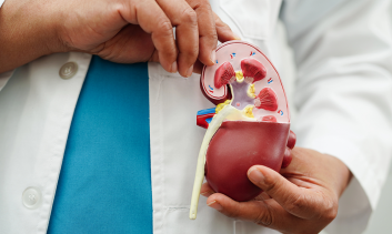 Sistema Renal e Métodos Dialíticos em Neonatologia e Pediatria