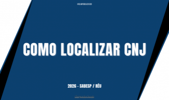 COMO LOCALIZAR CNJ