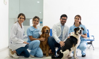 CLÍNICA GERAL DE PEQUENOS ANIMAIS: VAI SEM MEDO VET