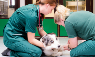 INTERNAÇÃO NA PRÁTICA