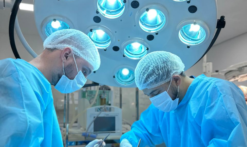 CIRURGIA: MÓDULO CASTRAÇÃO DE PEQUENOS ANIMAIS