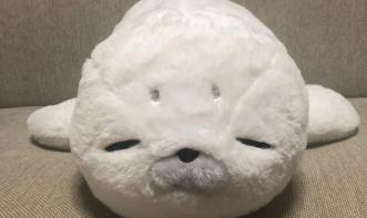 Guilherme Davi Gomes Sarmento