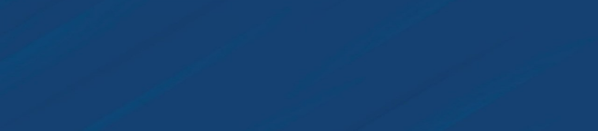 Ofchan Objetivas Português