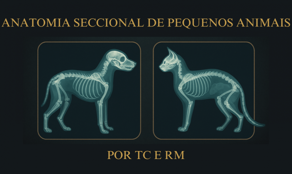 ANATOMIA SECCIONAL DE PEQUENOS ANIMAIS
