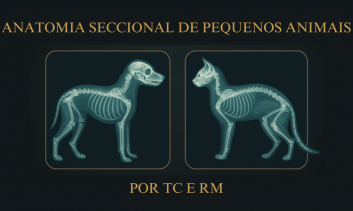 ANATOMIA SECCIONAL DE PEQUENOS ANIMAIS