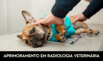 APRIMORAMENTO EM RADIOLOGIA VETERINÁRIA