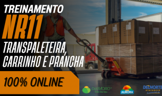 NR 11 - Movimentação de Carga com Transpaleteira, Carrinho e Prancha (Delmoro)