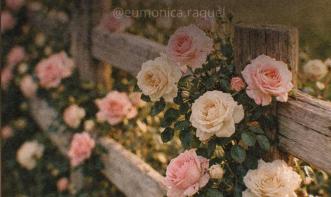 Janaína Pereira da Silva