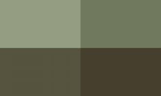 Selma Aparecida Veloso