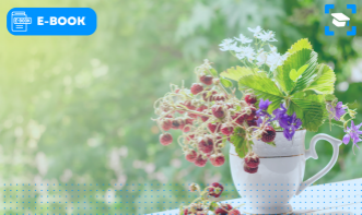 Aromaterapia e as Estações Primavera e Verão