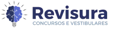 Revisura