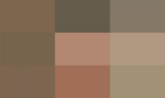 Nislaine Aparecida Monteiro